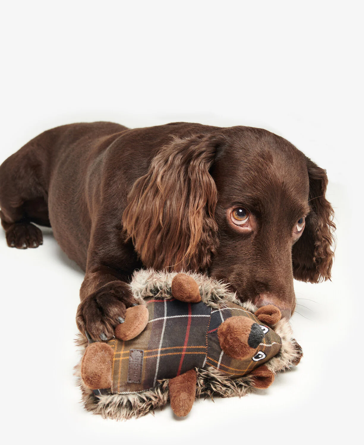 Accessoires bruin Barbour - Image 5