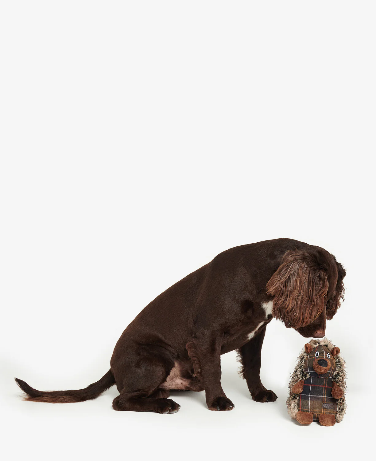 Accessoires bruin Barbour - Image 7