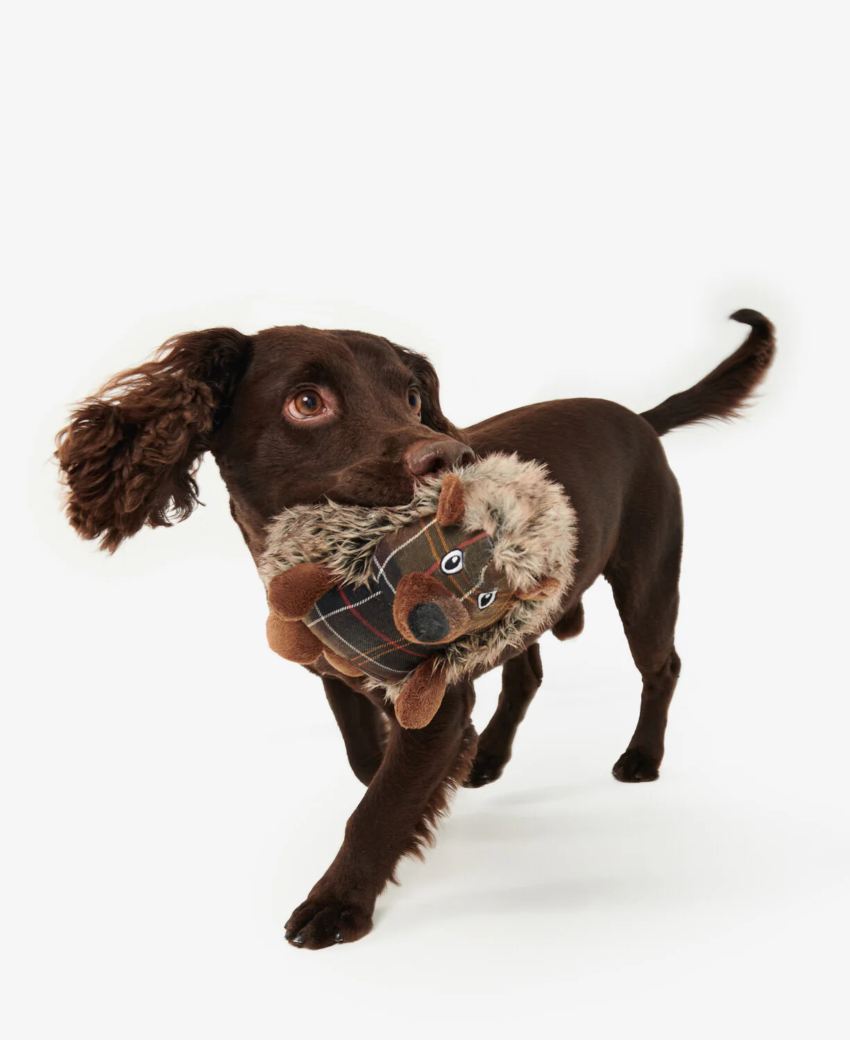 Accessoires bruin Barbour - Image 8