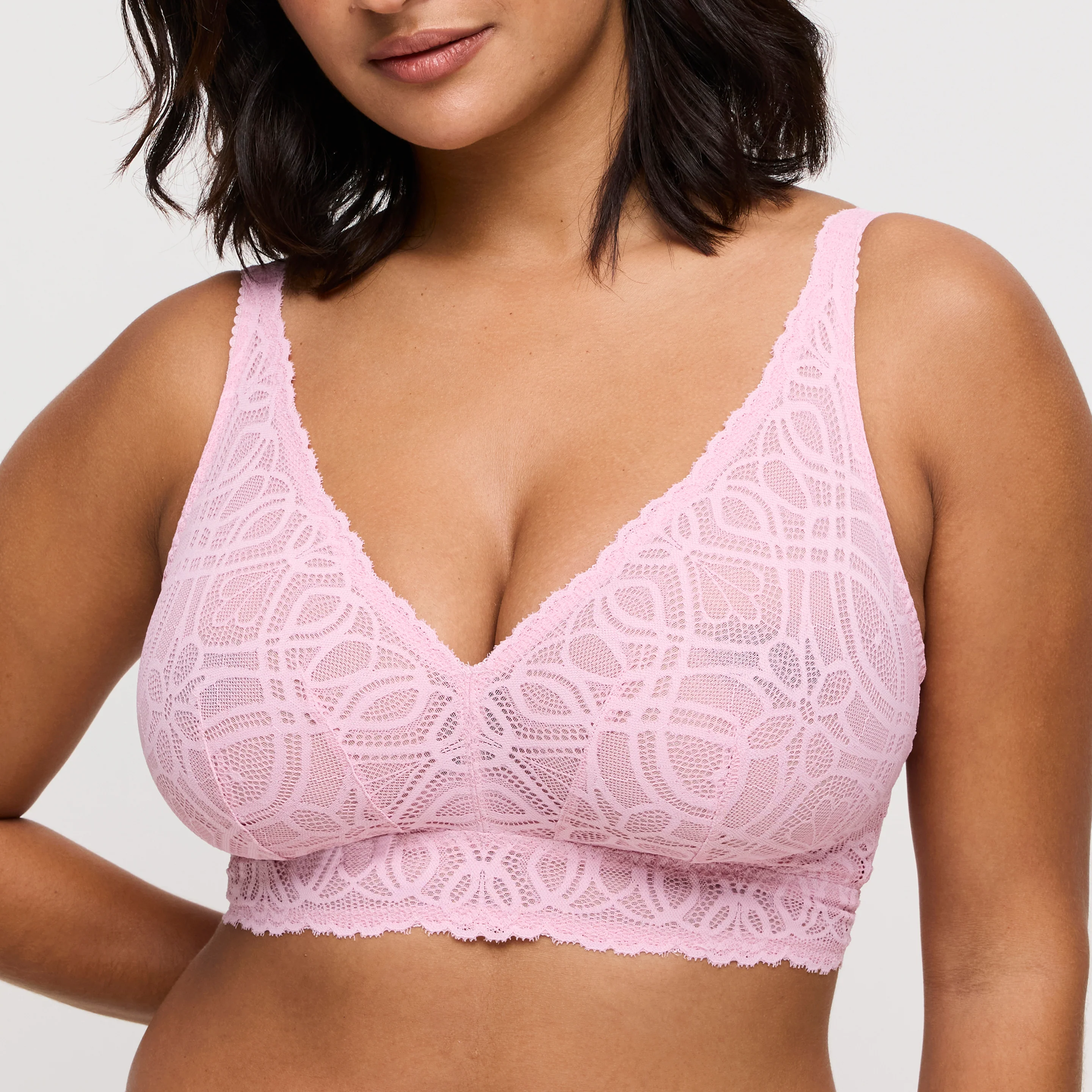 BH's multicolor Prima Donna - Image 2