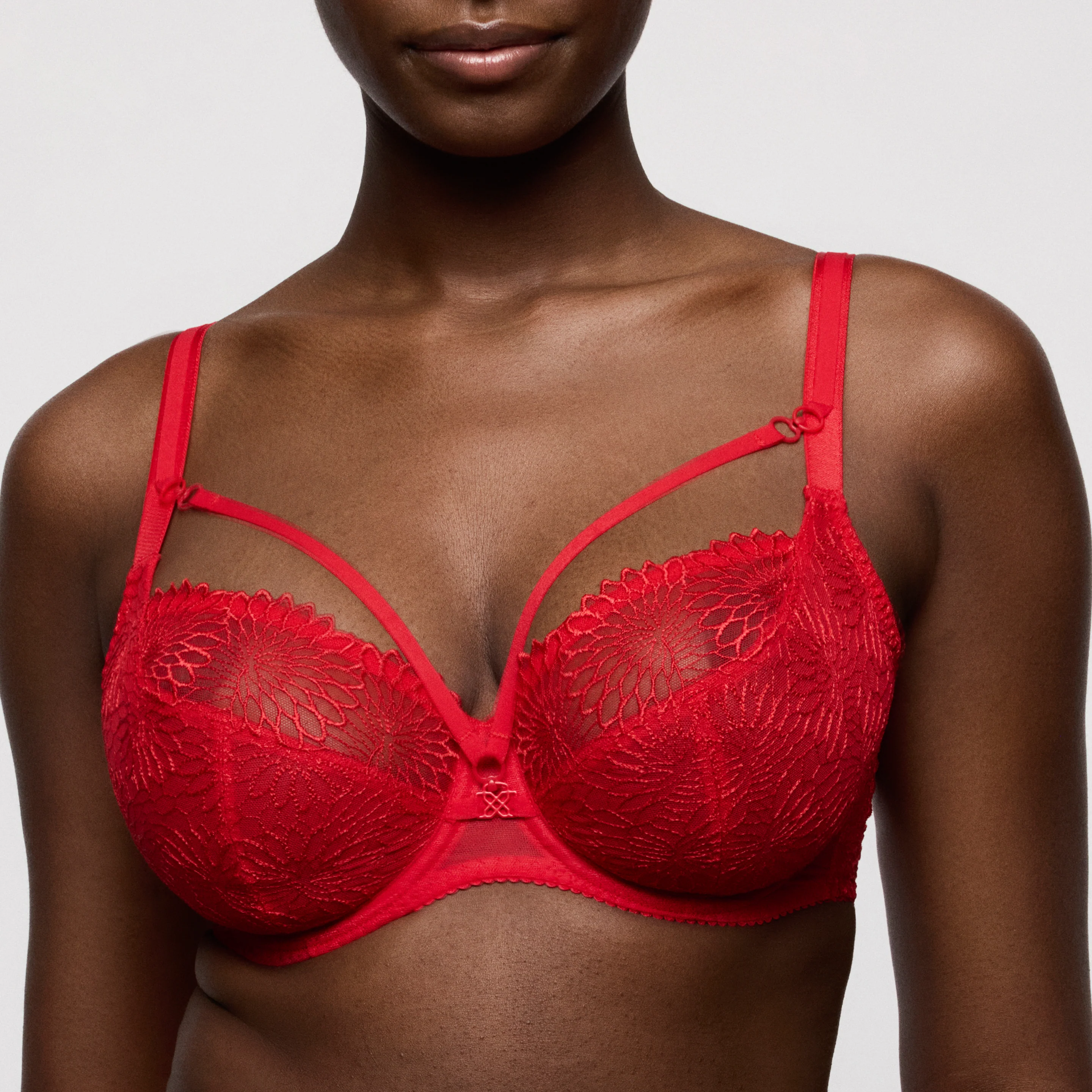 BH's rood Prima Donna - Image 4