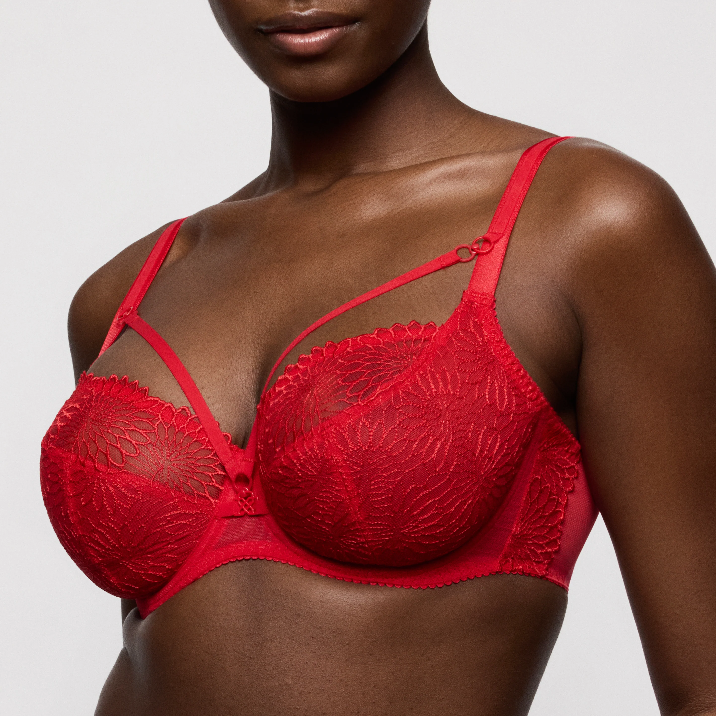 BH's rood Prima Donna - Image 5
