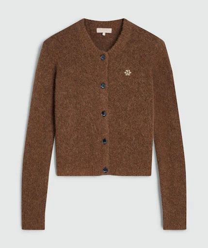 Cardigans bruin JOSH V