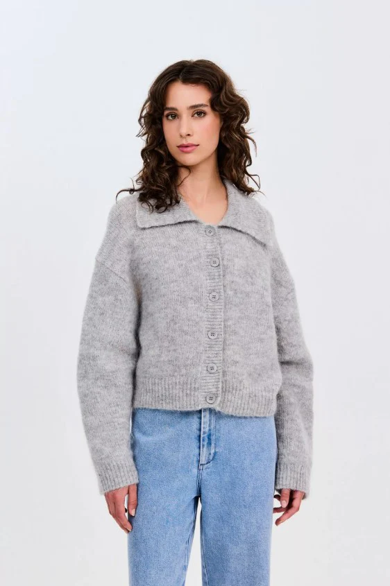 Cardigans grijs CKS
