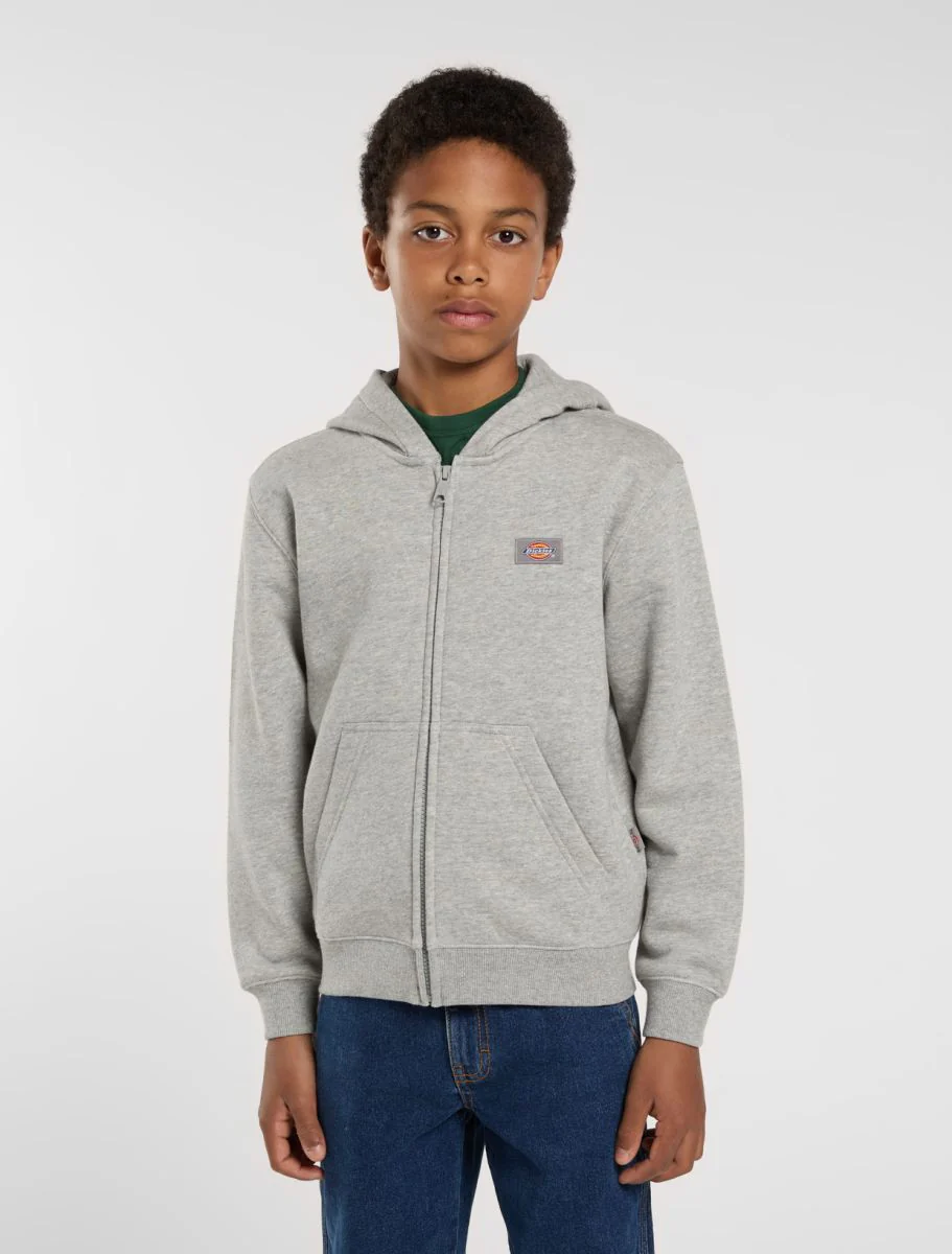 Cardigans grijs Dickies