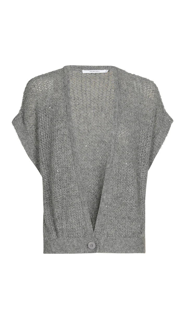 Cardigans grijs Xandres