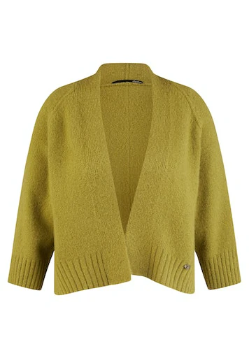 Cardigans groen LeComte