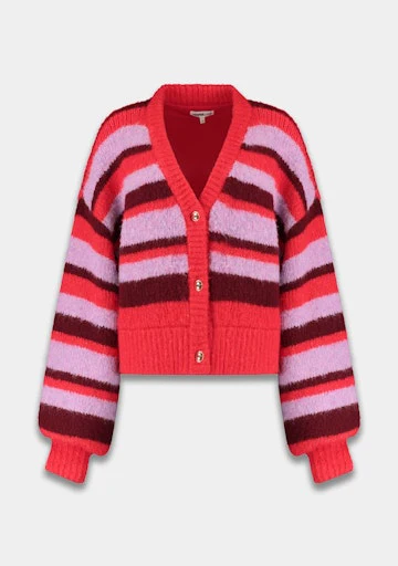 Cardigans paars Harper & Yve