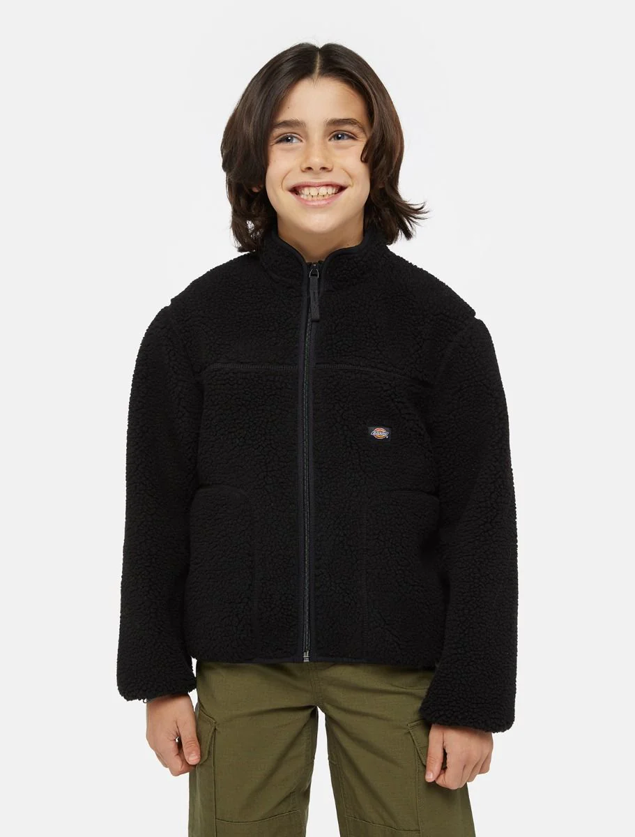Cardigans zwart Dickies