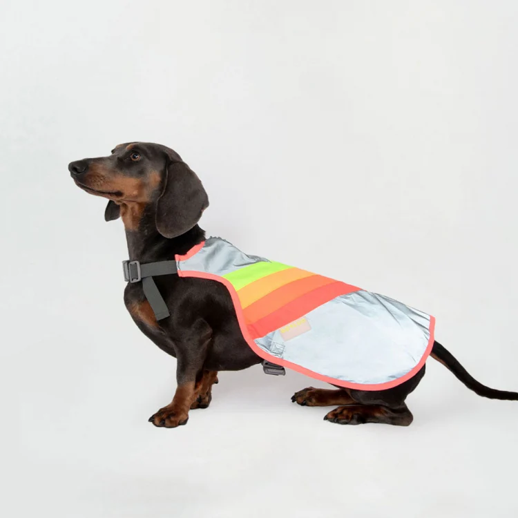 Fluohesjes grijs gofluo