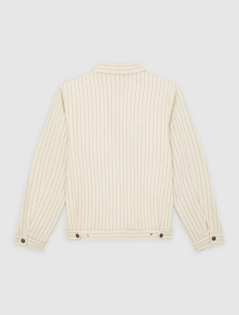 Jassen beige Dickies - Image 2