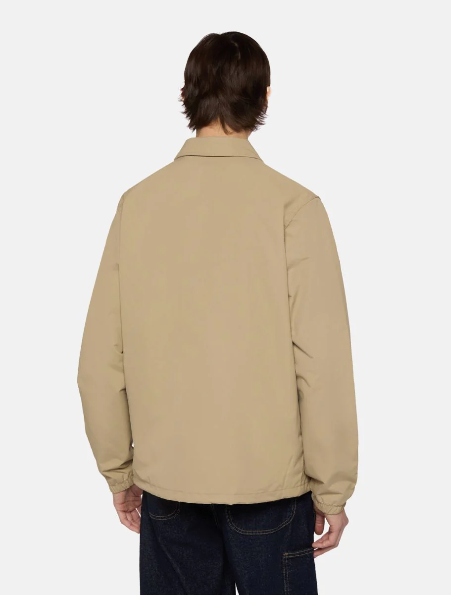 Jassen beige Dickies - Image 2