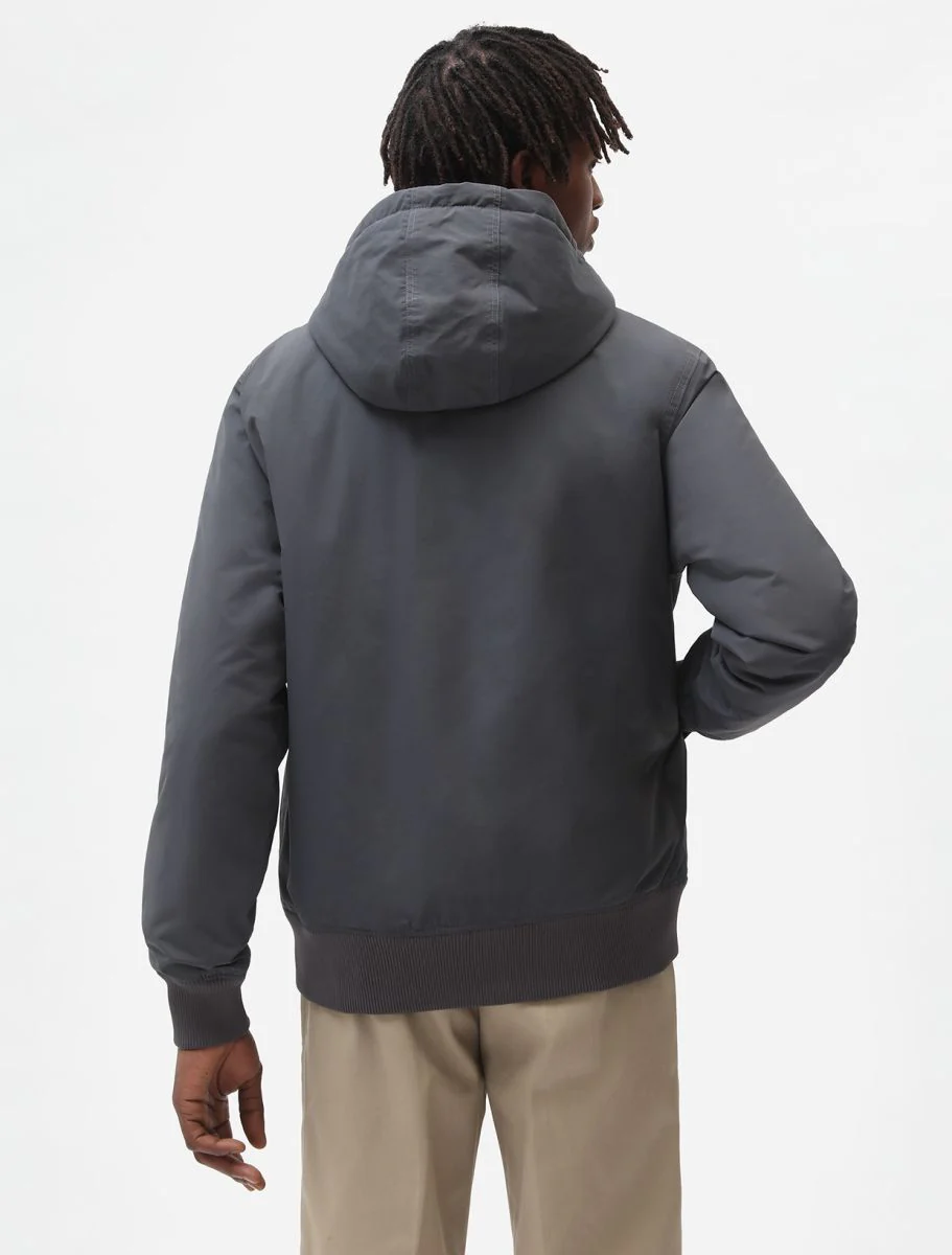 Jassen grijs Dickies - Image 2
