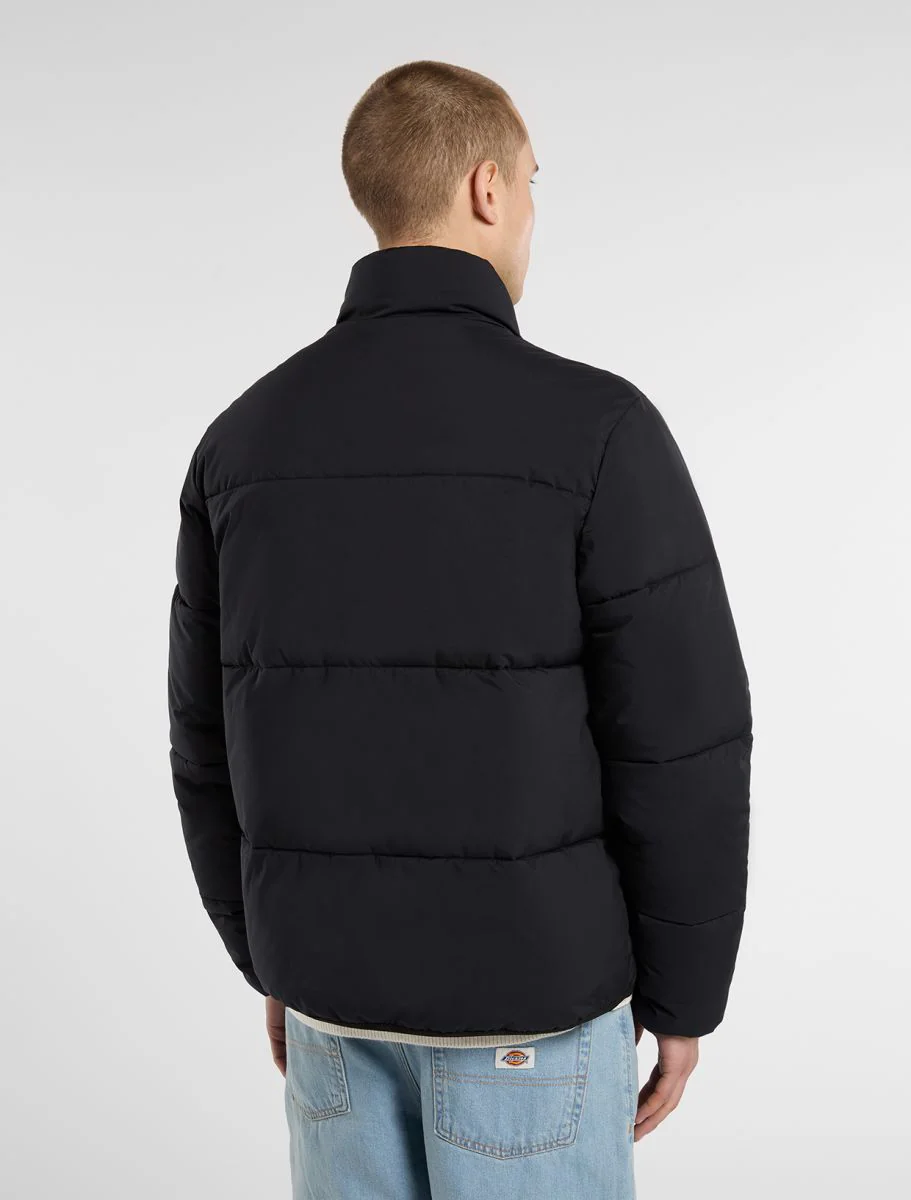 Jassen zwart Dickies - Image 4