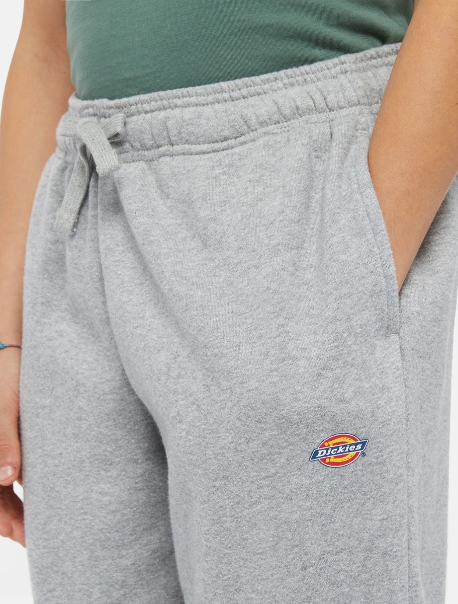 Jogging grijs Dickies - Image 5