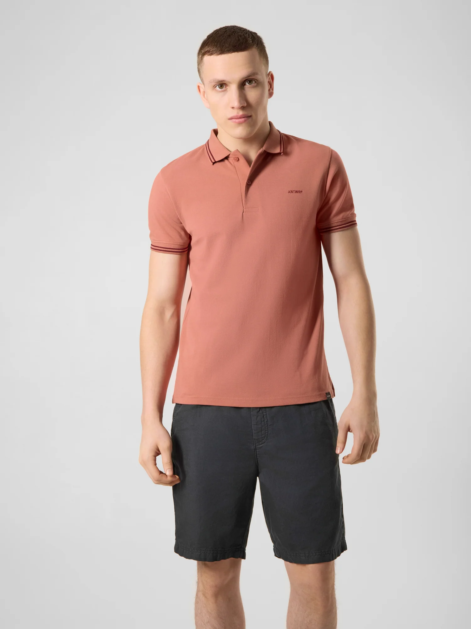 Polo's korte mouw ANTWRP