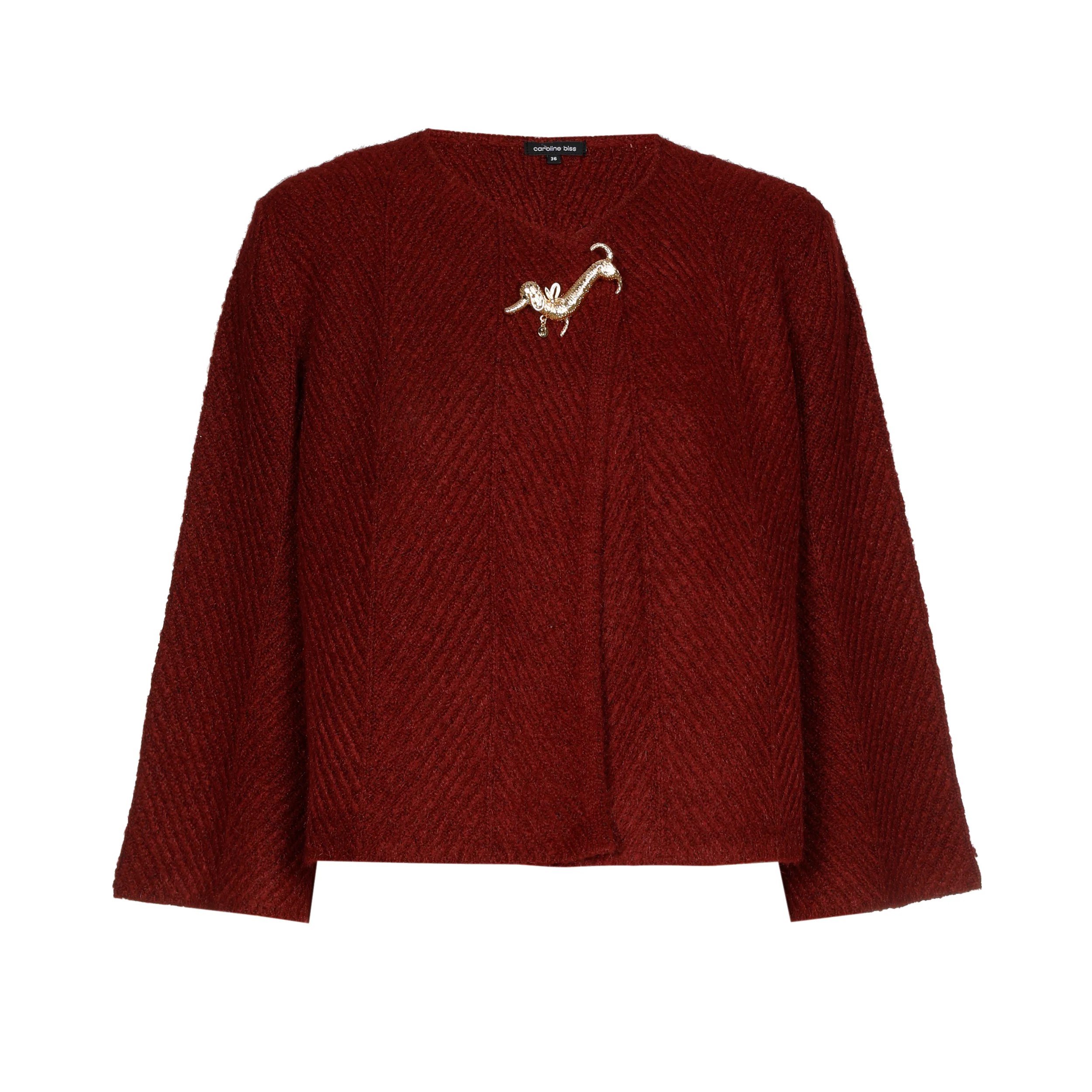 Poncho's rood Caroline Biss