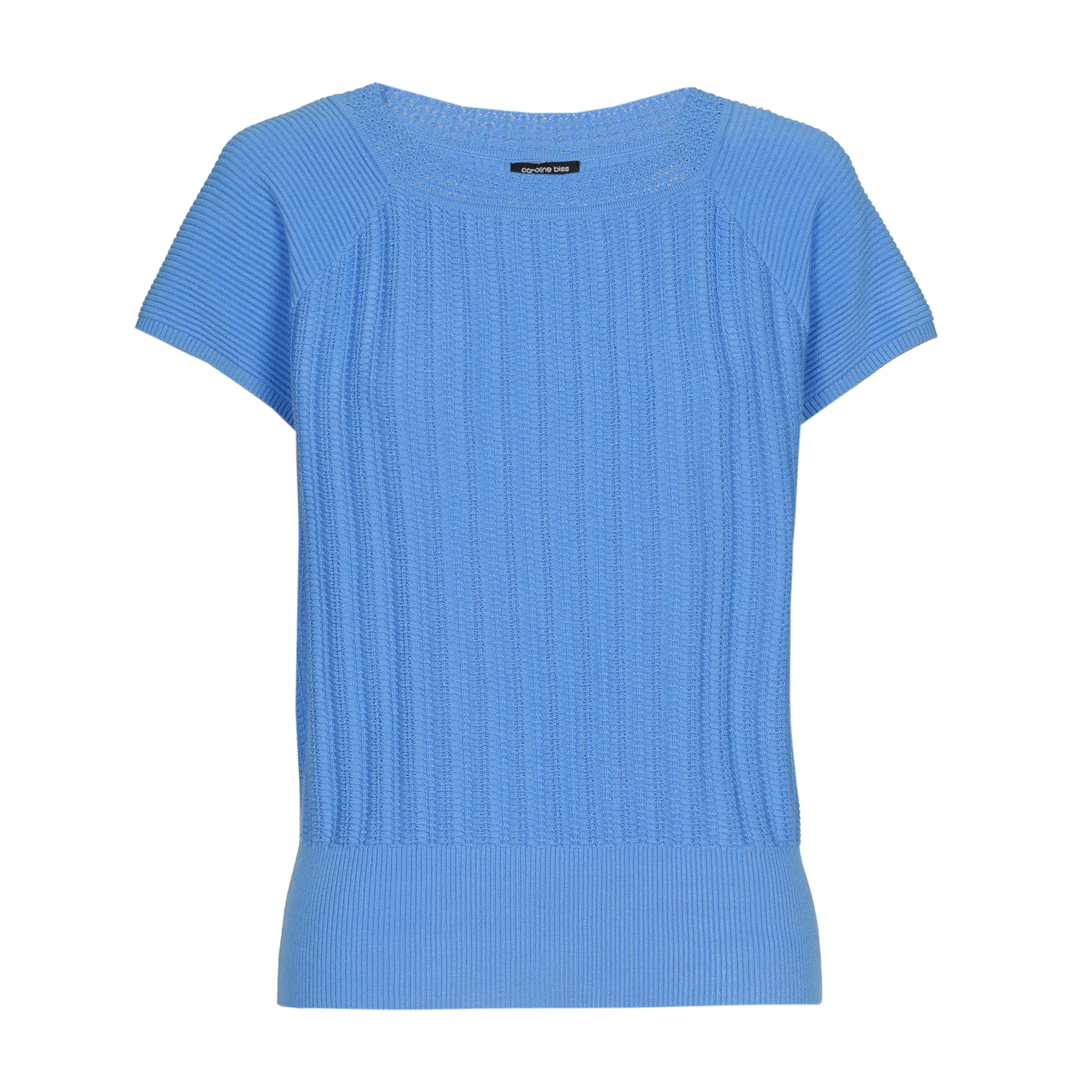 Pulls blauw Caroline Biss