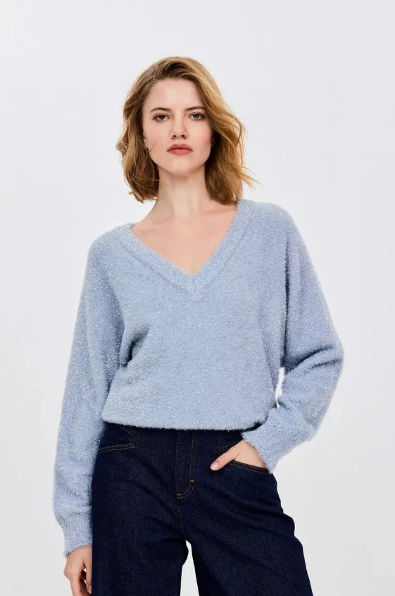 Pulls blauw CKS