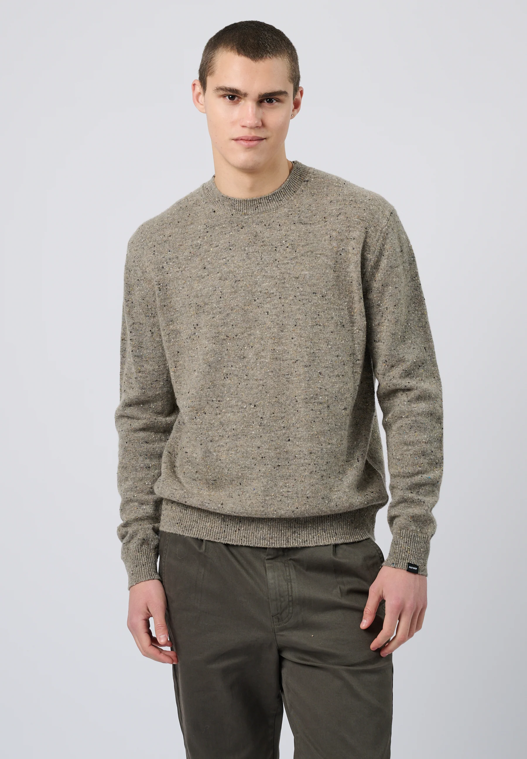 Pulls bruin ANTWRP - Image 4