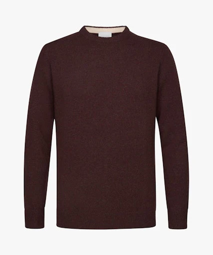 Pulls Profuomo