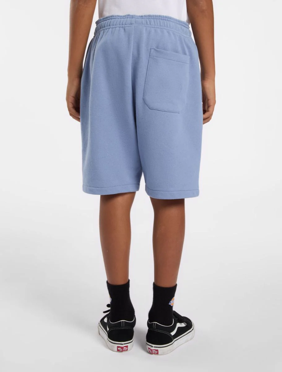 Shorten blauw Dickies - Image 4