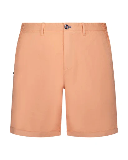 Shorten oranje NZA New Zealand Auckland