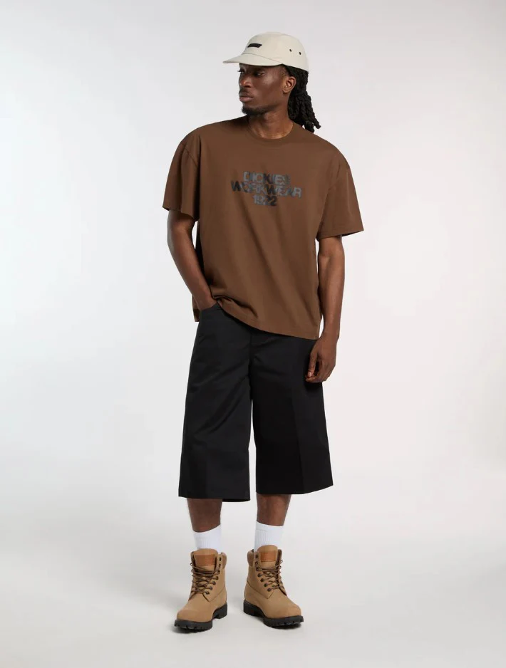 Shorten zwart Dickies