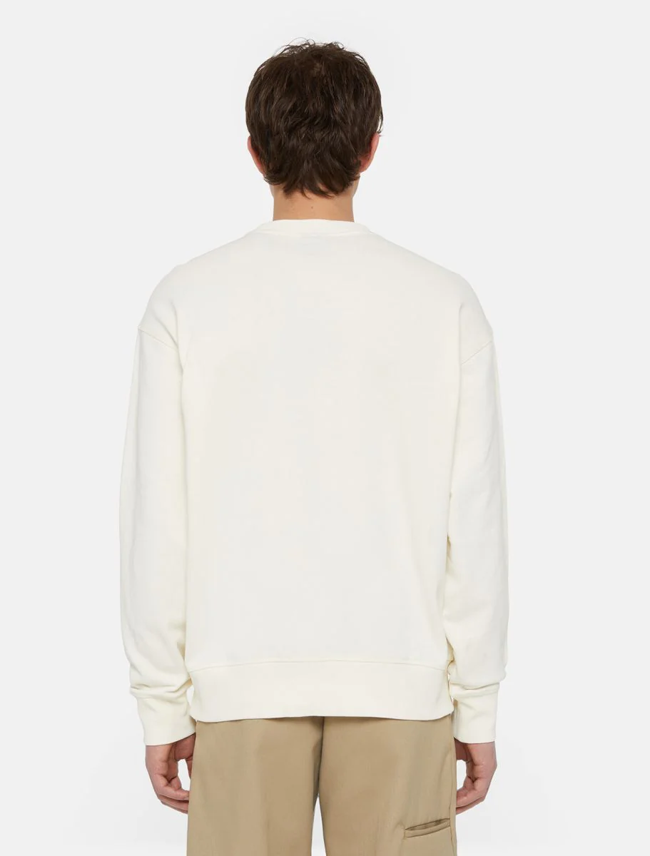 Sweaters beige Dickies - Image 4