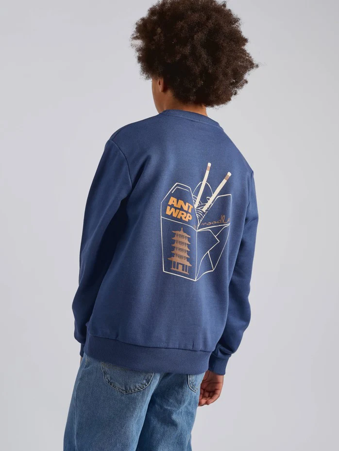 Sweaters blauw ANTWRP Junior - Image 5
