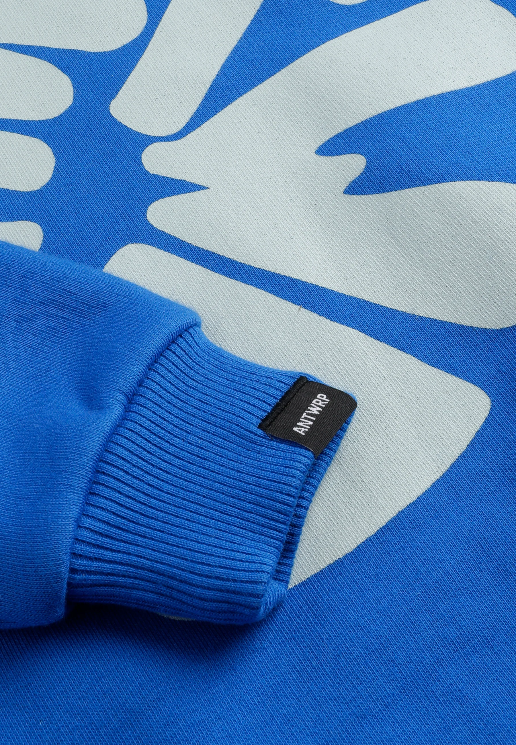 Sweaters blauw ANTWRP Junior - Image 3