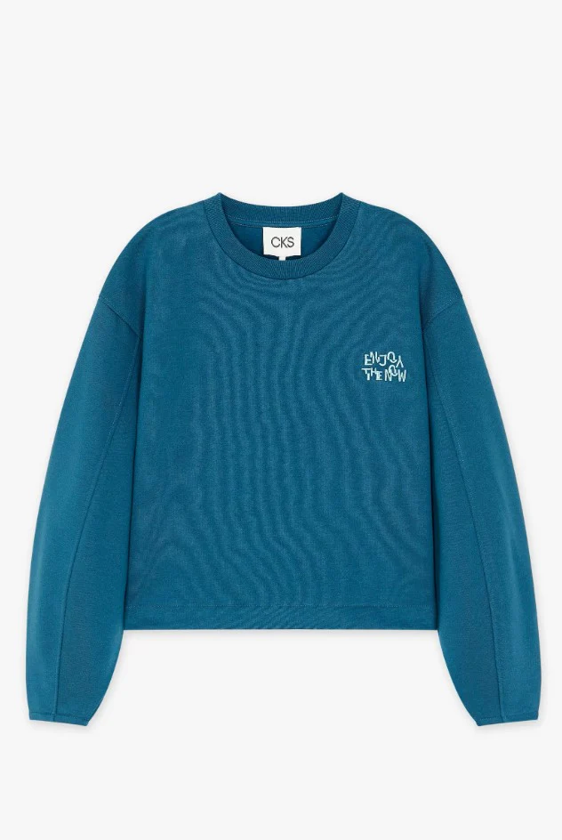 Sweaters blauw CKS - Image 4