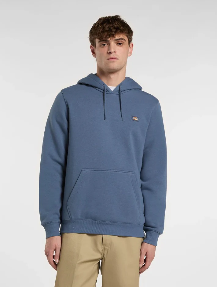Sweaters blauw Dickies