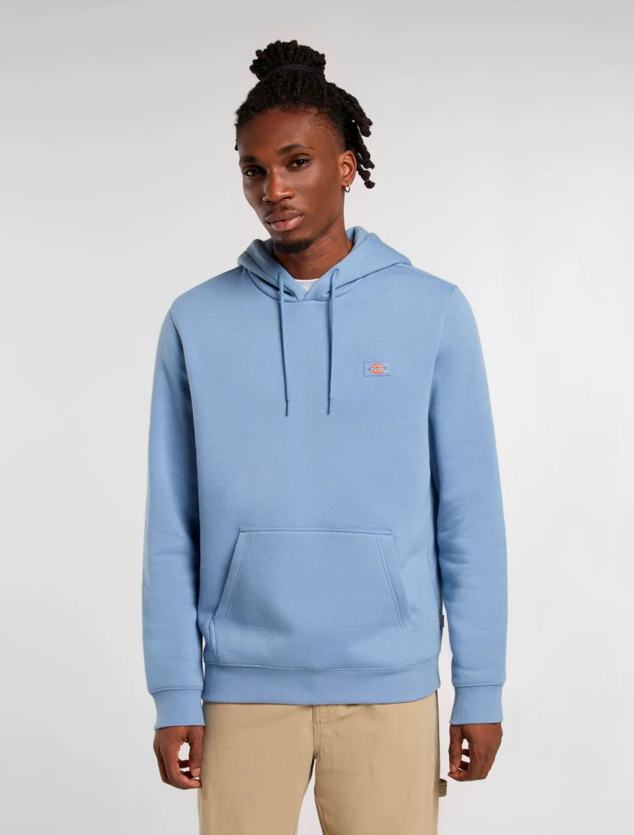Sweaters blauw Dickies