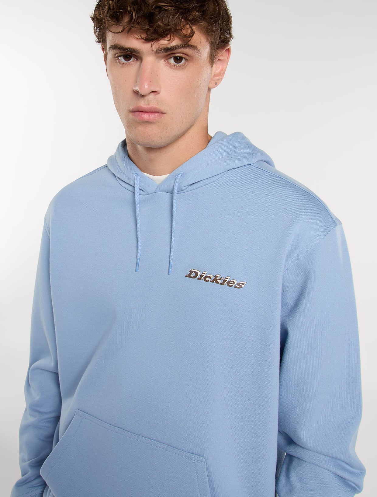 Sweaters blauw Dickies