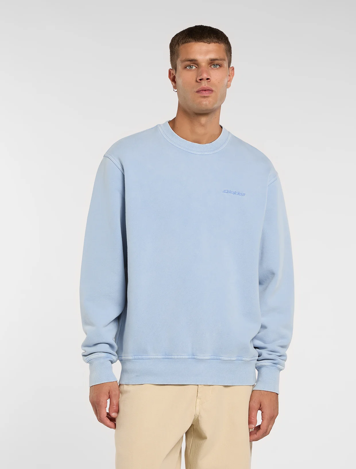 Sweaters blauw Dickies