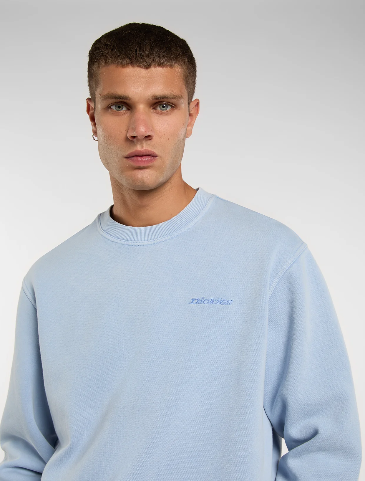 Sweaters blauw Dickies - Image 4