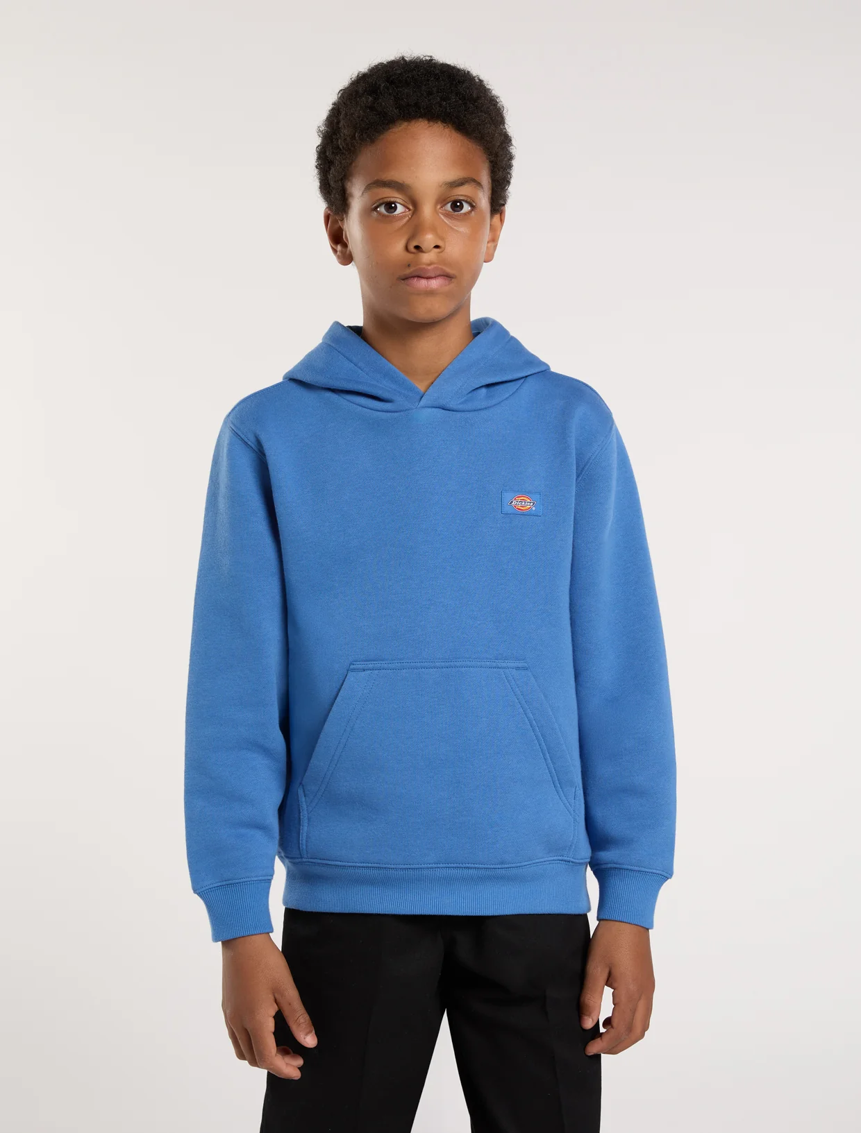 Sweaters blauw Dickies
