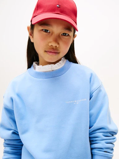 Sweaters blauw Tommy Hilfiger