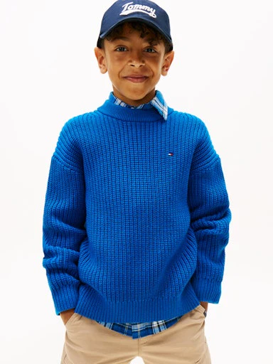 Sweaters blauw Tommy Hilfiger