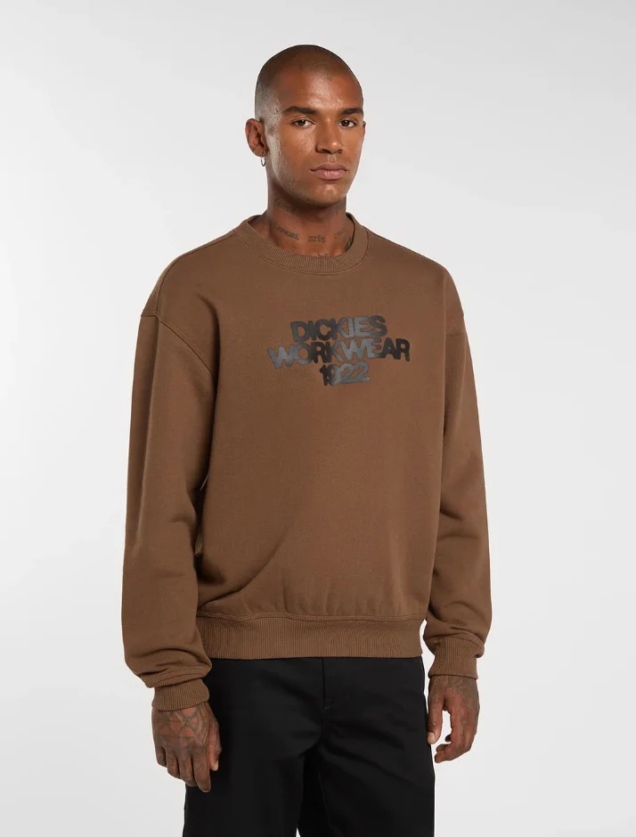 Sweaters bruin Dickies
