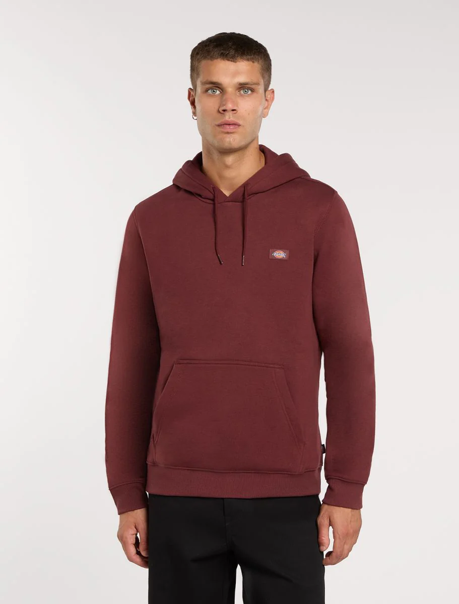 Sweaters bruin Dickies