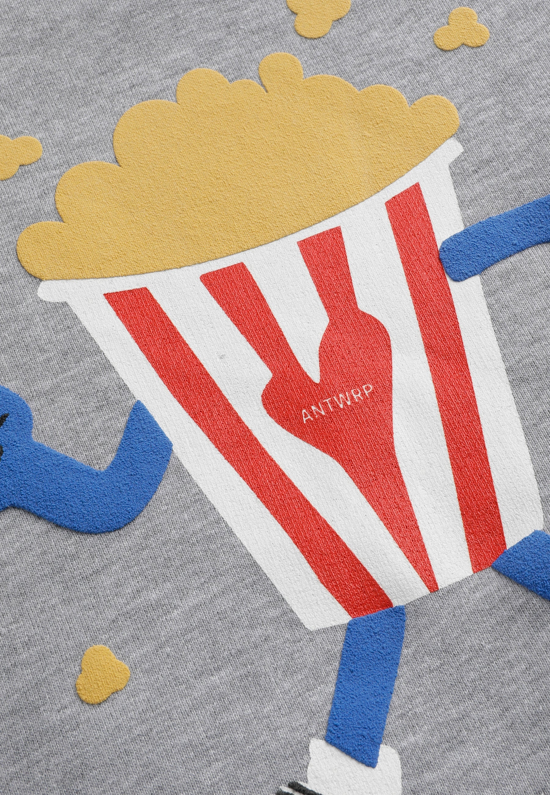 Sweaters grijs ANTWRP Junior - Image 3