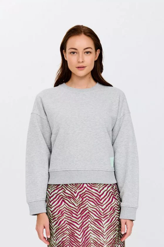 Sweaters grijs CKS