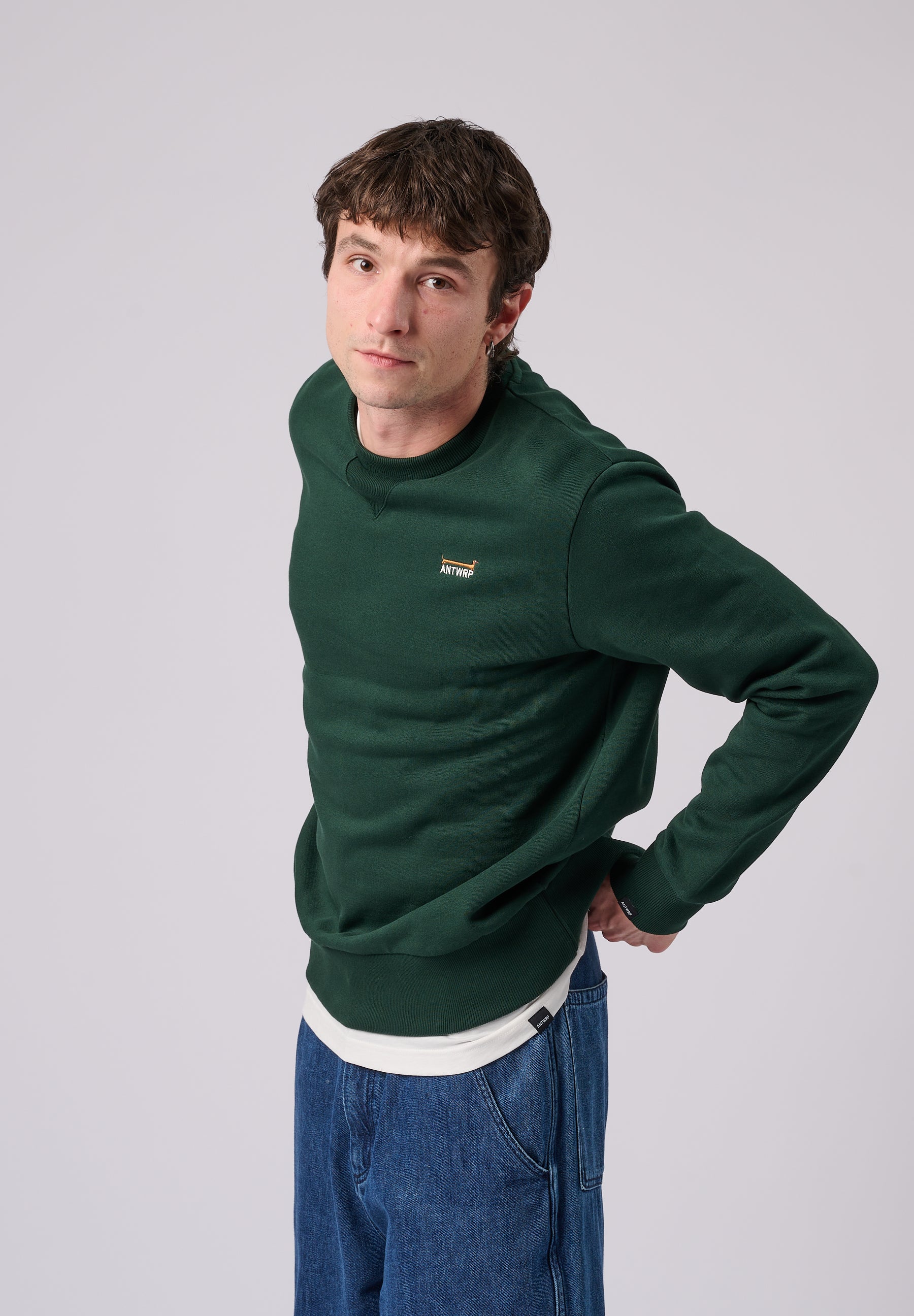 Sweaters groen ANTWRP
