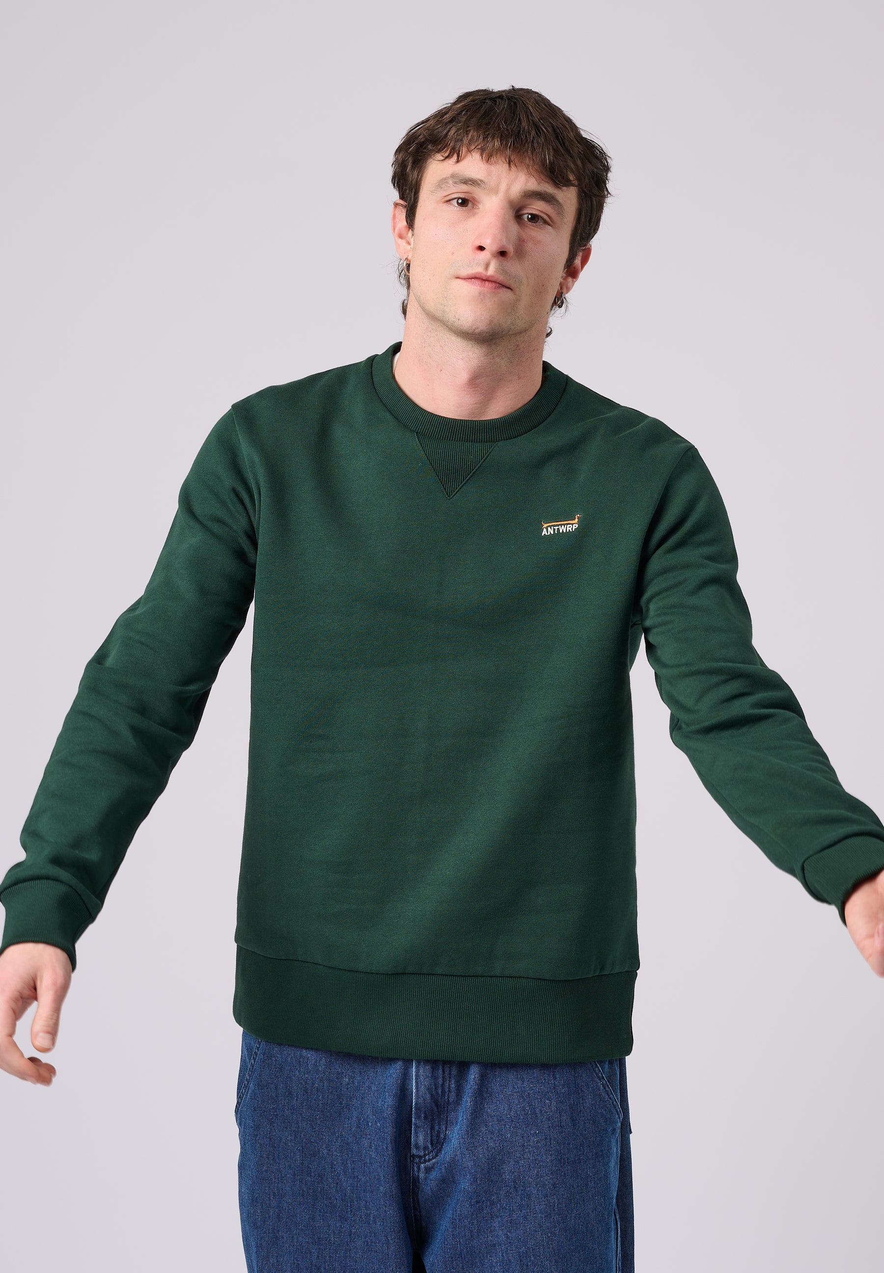 Sweaters groen ANTWRP - Image 3