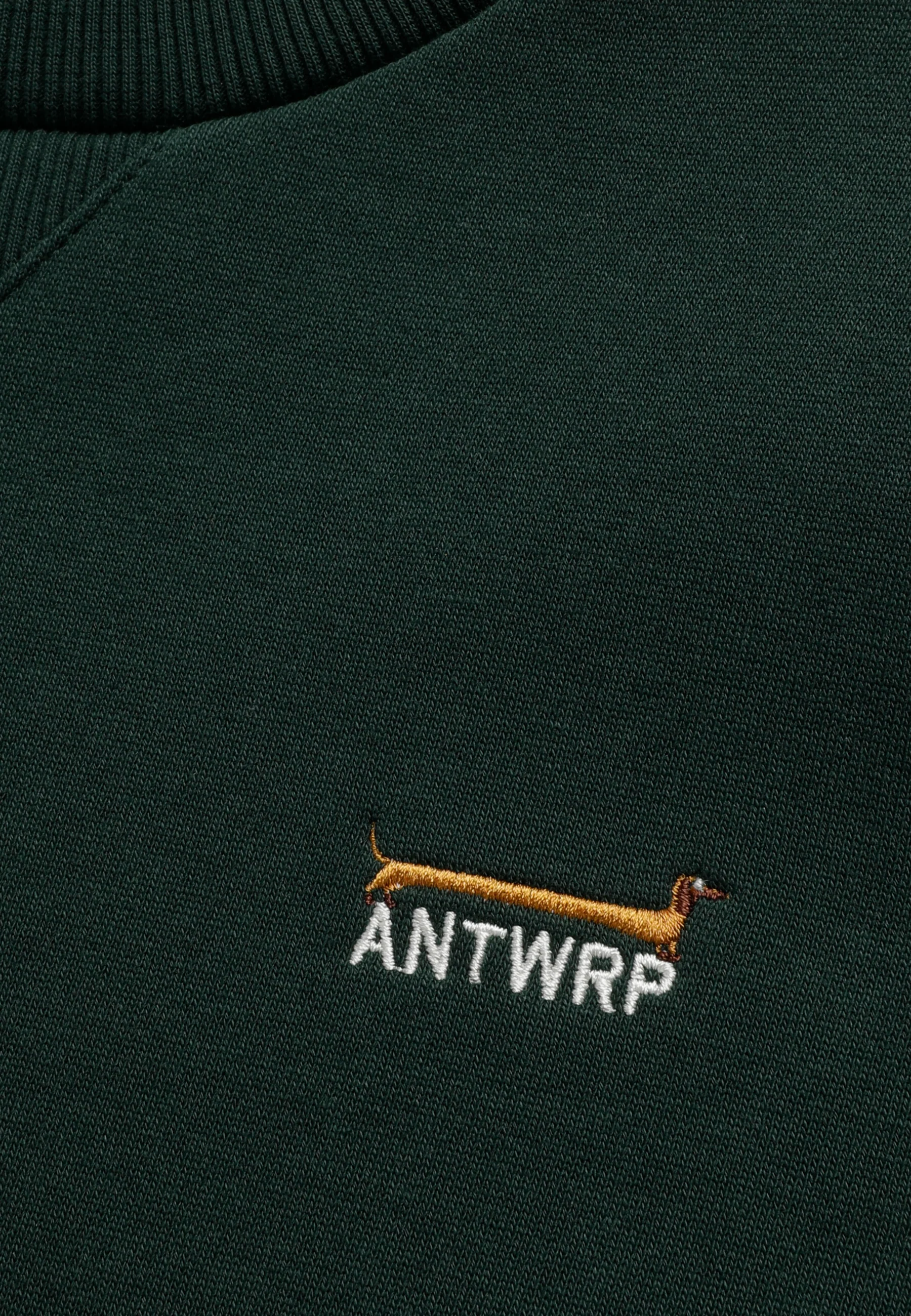 Sweaters groen ANTWRP - Image 4