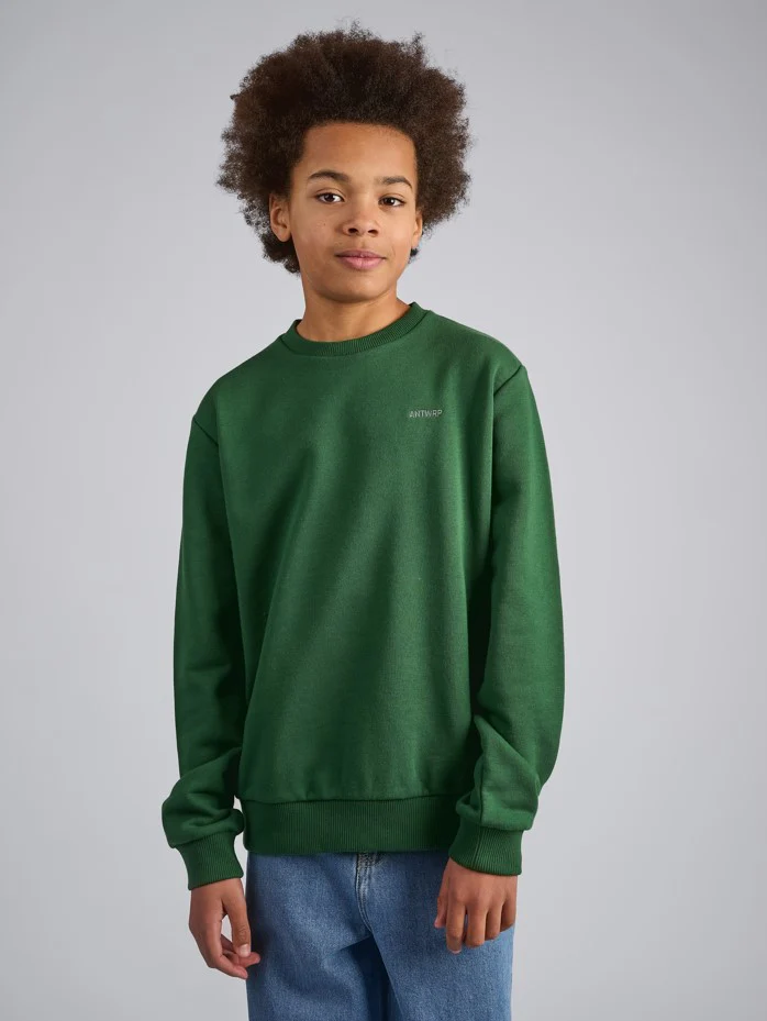 Sweaters groen ANTWRP Junior