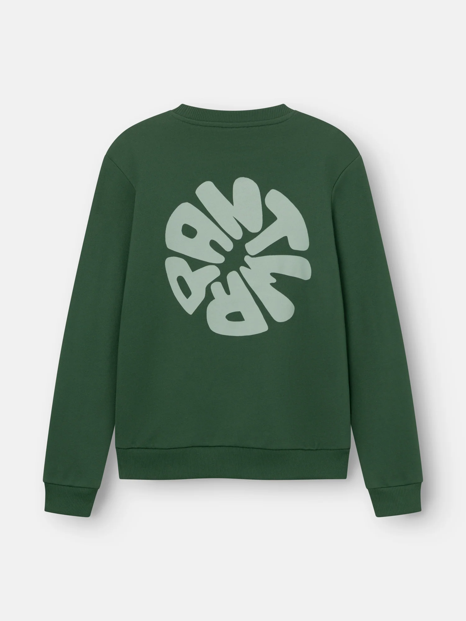 Sweaters groen ANTWRP Junior - Image 3