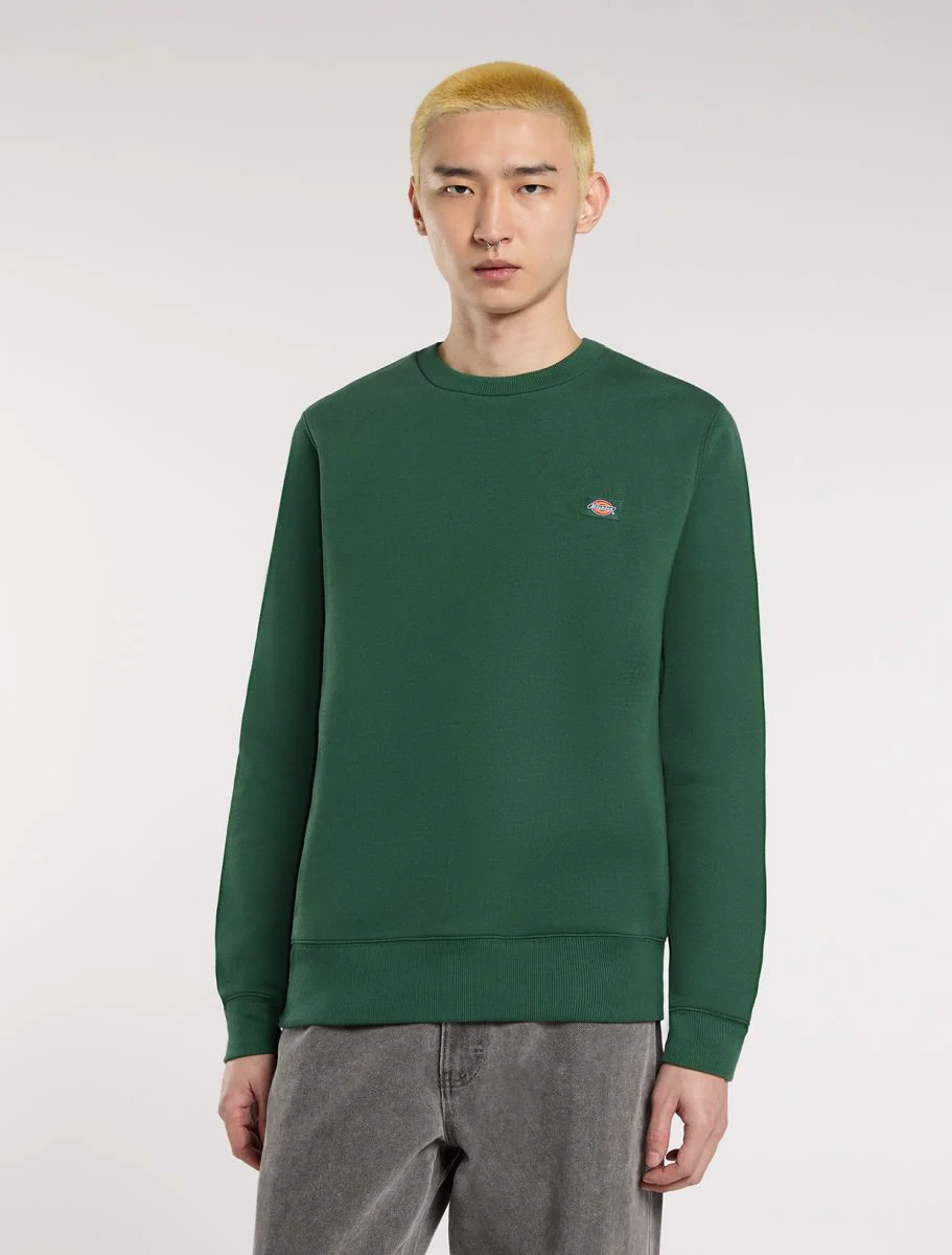 Sweaters groen Dickies